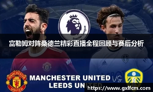 富勒姆对阵桑德兰精彩直播全程回顾与赛后分析